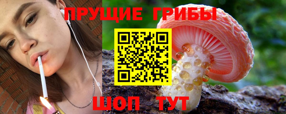 Сальск  Галлюциногенные грибы MAGIC MUSHROOMS  Вход с VPN  Псилоцибиновые грибы прущие грибы 
